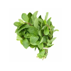 Podina