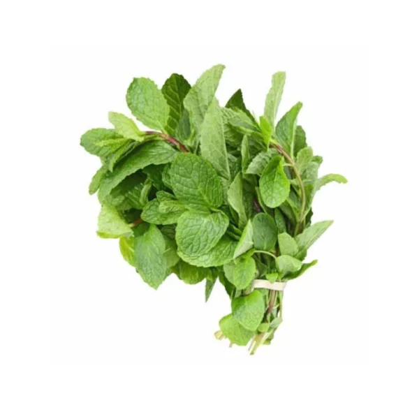 Podina