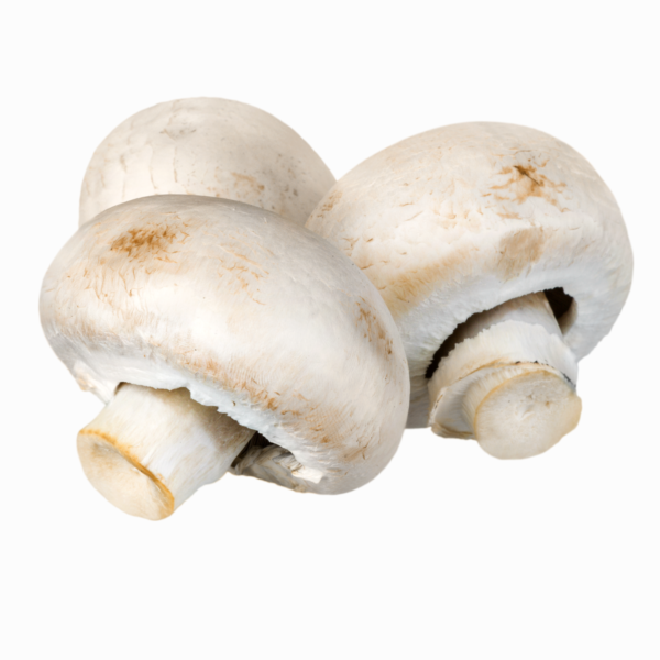 Dry / Dried Mushroom 100gm