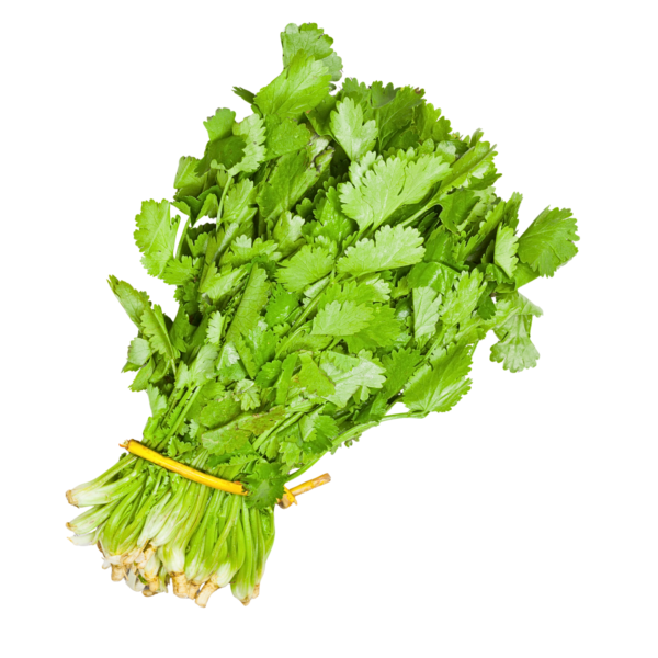 Coriander Leaves Bunch / Dhaniya Gadi x 1