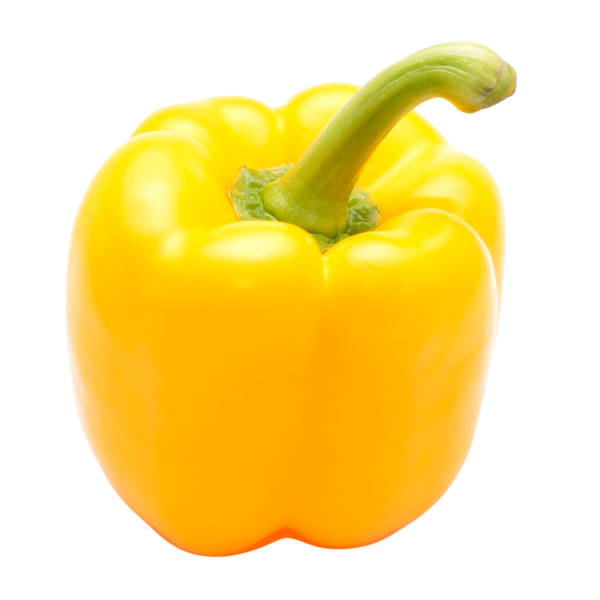 Capsicum Yellow /Shimla Yellow Mich 250 gm